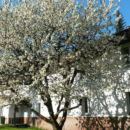 Hotel Eden Auberge de jeunesse